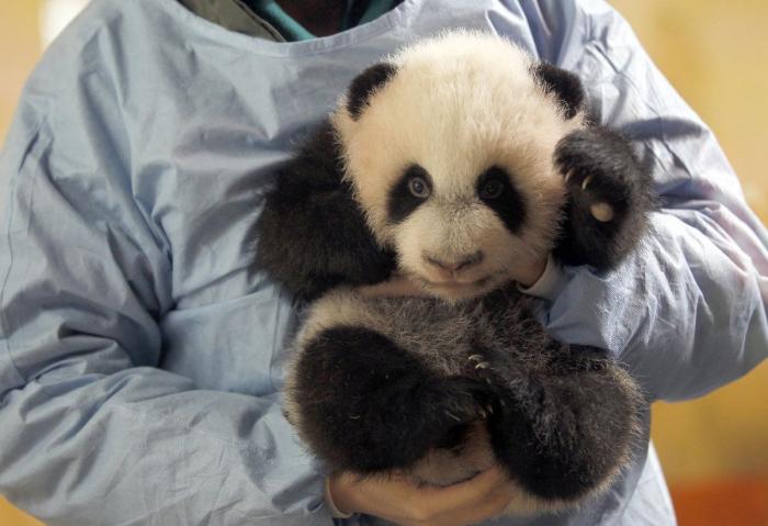 La figura de Sofía, la otra damnificada de los escándalos del rey Juan Carlos I