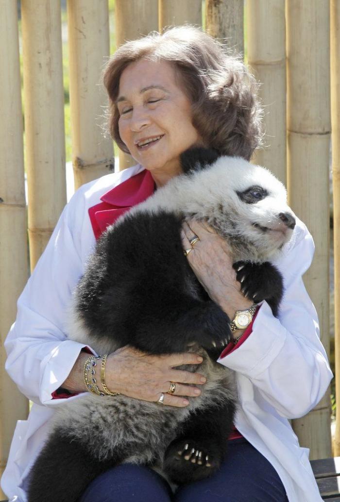 La figura de Sofía, la otra damnificada de los escándalos del rey Juan Carlos I