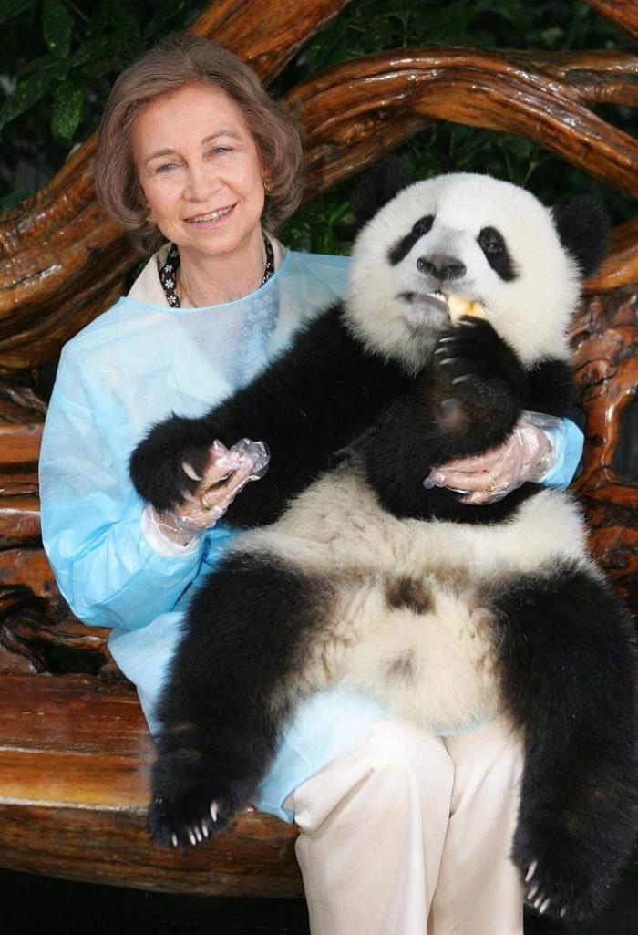 La figura de Sofía, la otra damnificada de los escándalos del rey Juan Carlos I