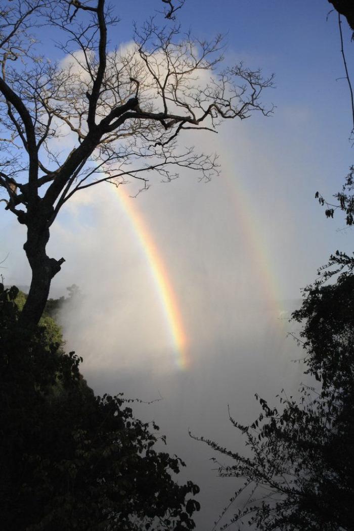 FOTOS: arcoiris por el mundo