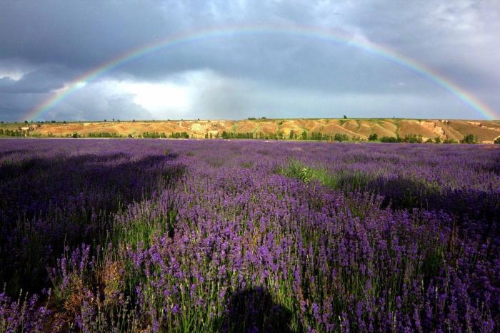 FOTOS: arcoiris por el mundo