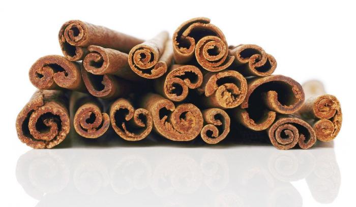 Cómo regar las plantas cuando te vas de casa por vacaciones