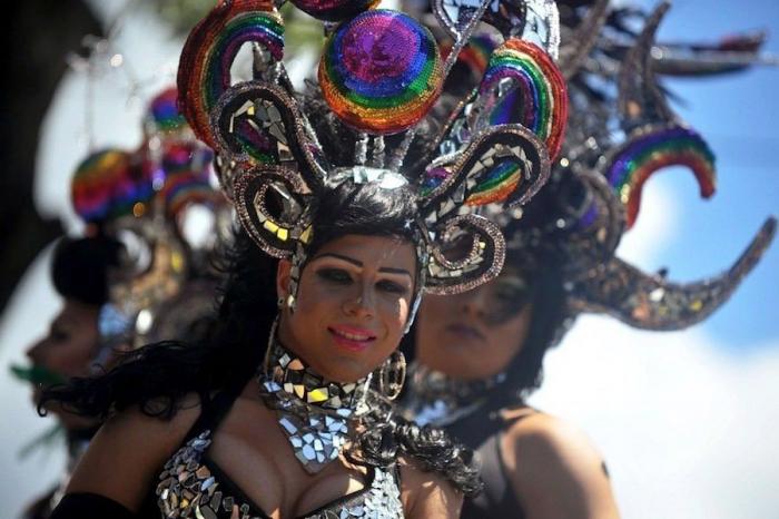 Referéndum sobre el matrimonio homosexual en Irlanda