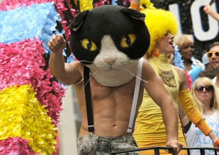 Referéndum sobre el matrimonio homosexual en Irlanda