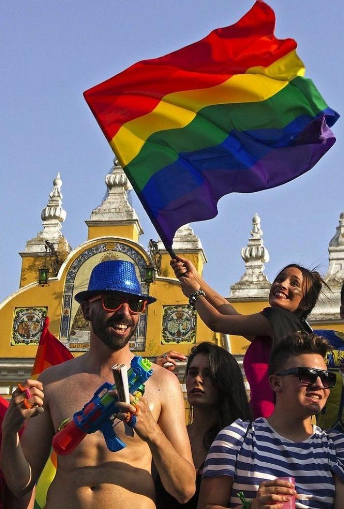 Referéndum sobre el matrimonio homosexual en Irlanda