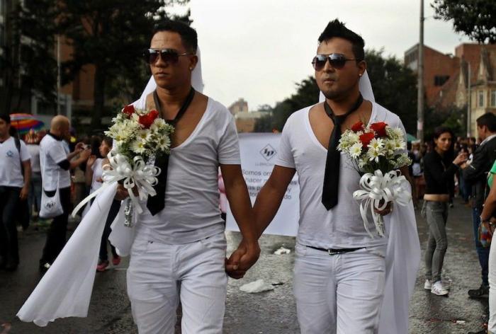 Referéndum sobre el matrimonio homosexual en Irlanda