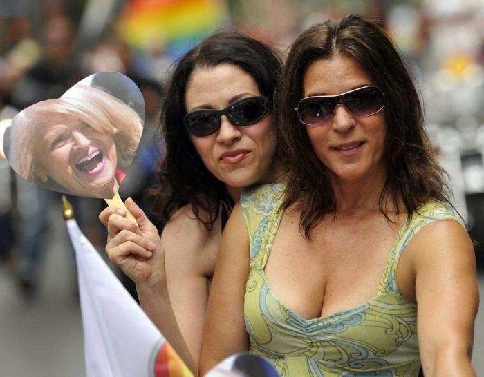 Referéndum sobre el matrimonio homosexual en Irlanda