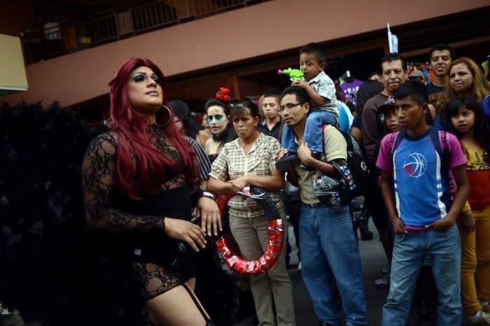 Referéndum sobre el matrimonio homosexual en Irlanda