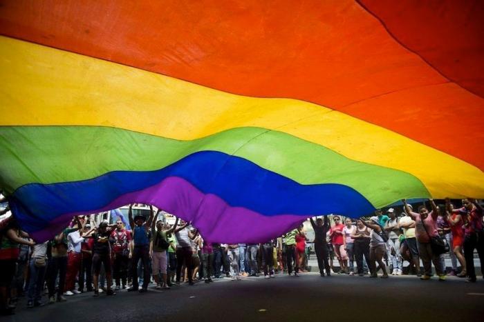 Referéndum sobre el matrimonio homosexual en Irlanda