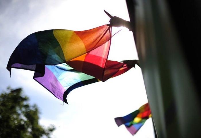 Referéndum sobre el matrimonio homosexual en Irlanda