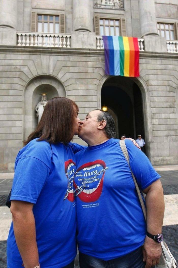 Referéndum sobre el matrimonio homosexual en Irlanda