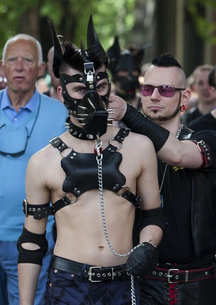 Referéndum sobre el matrimonio homosexual en Irlanda