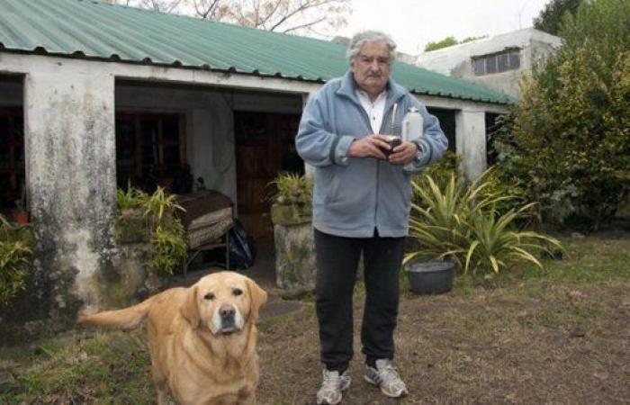 El lúcido mensaje con el que José Mujica hace reflexionar al mundo