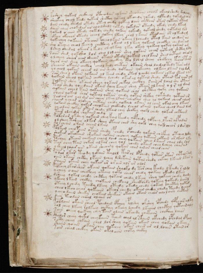 Vuelve el misterio del Manuscrito Voynich: contiene un mensaje, pero aún no se sabe cuál (FOTOS)