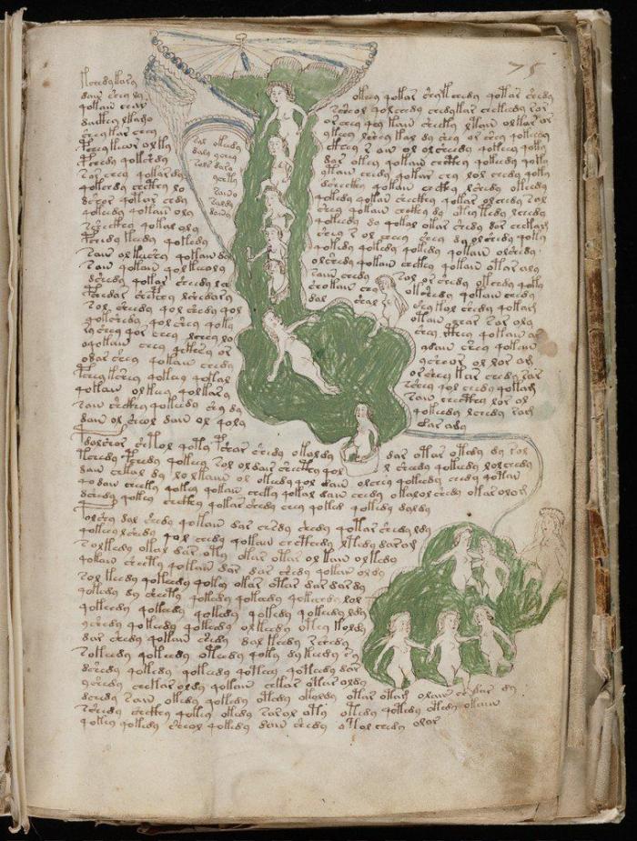 Vuelve el misterio del Manuscrito Voynich: contiene un mensaje, pero aún no se sabe cuál (FOTOS)