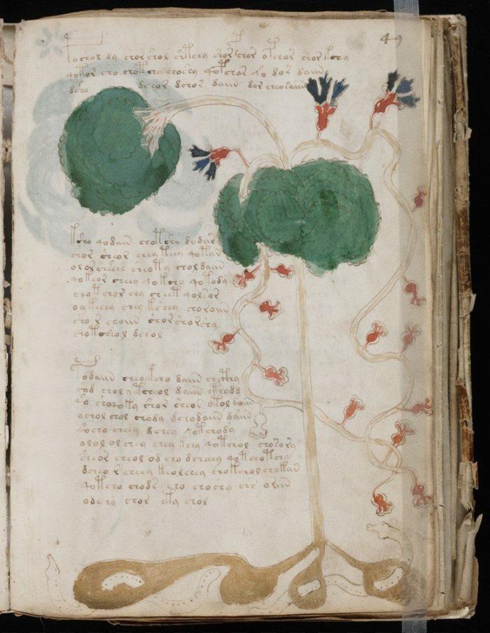Vuelve el misterio del Manuscrito Voynich: contiene un mensaje, pero aún no se sabe cuál (FOTOS)