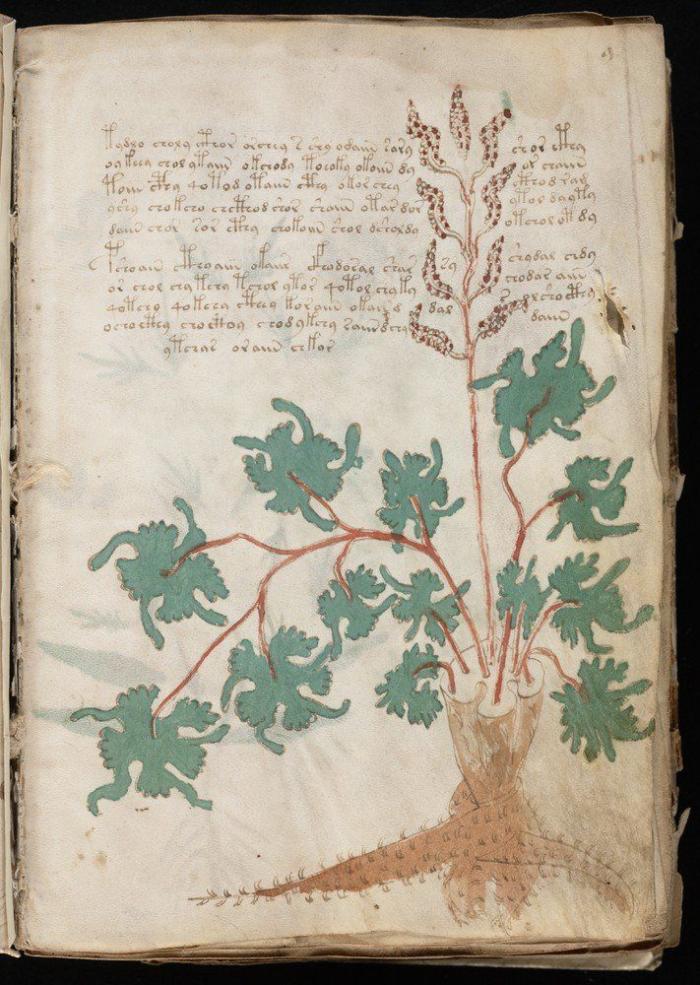 Vuelve el misterio del Manuscrito Voynich: contiene un mensaje, pero aún no se sabe cuál (FOTOS)