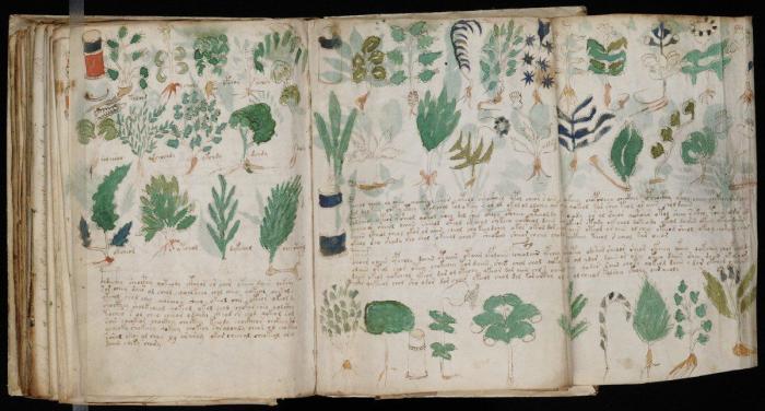 Vuelve el misterio del Manuscrito Voynich: contiene un mensaje, pero aún no se sabe cuál (FOTOS)
