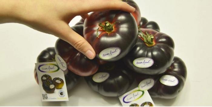 El Corte Inglés alerta de que puede haber "pequeños trozos de goma blanda" en uno de sus yogures