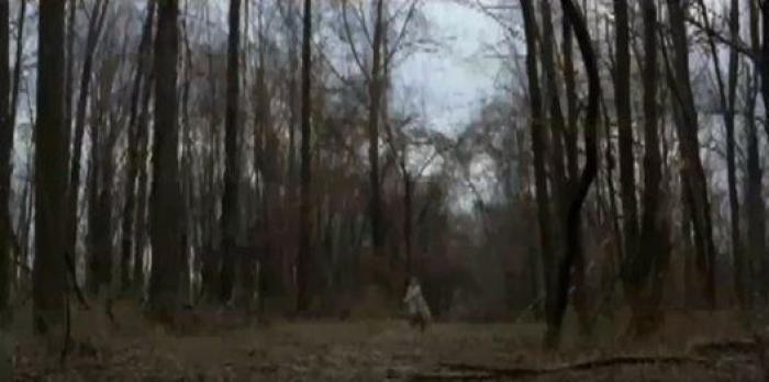 ARCO del cine: obras de la feria que recuerdan a escenas de película