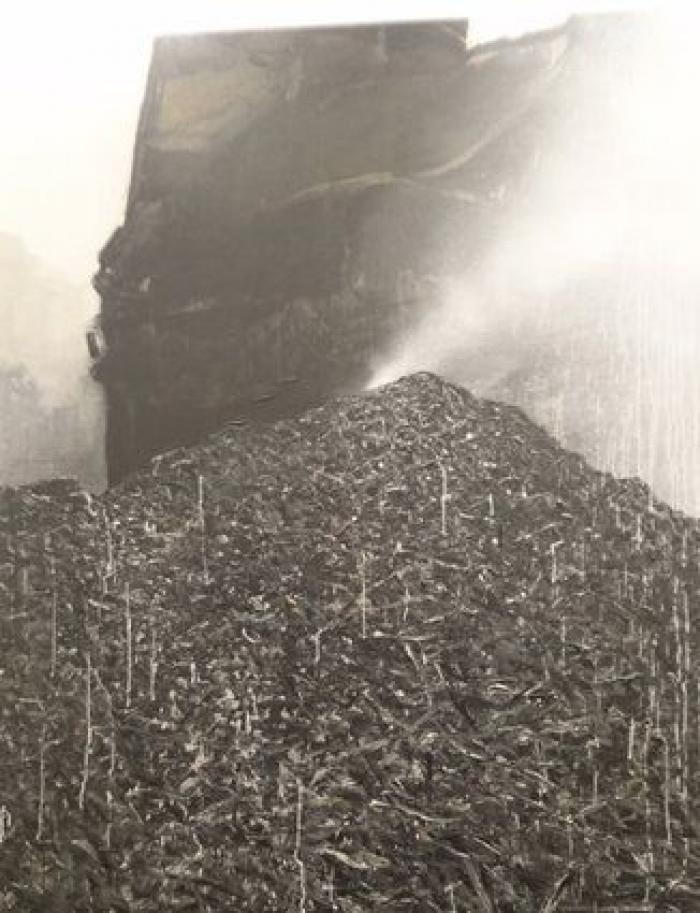 ARCO del cine: obras de la feria que recuerdan a escenas de película