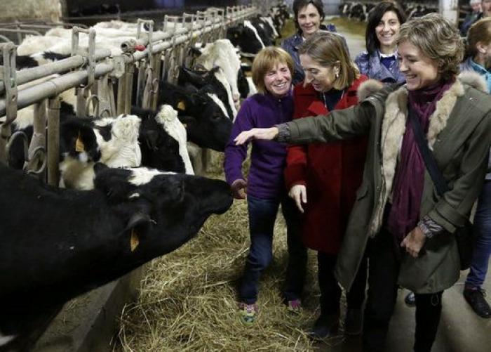 La 'playlist' del 20-D (SPOTIFY)