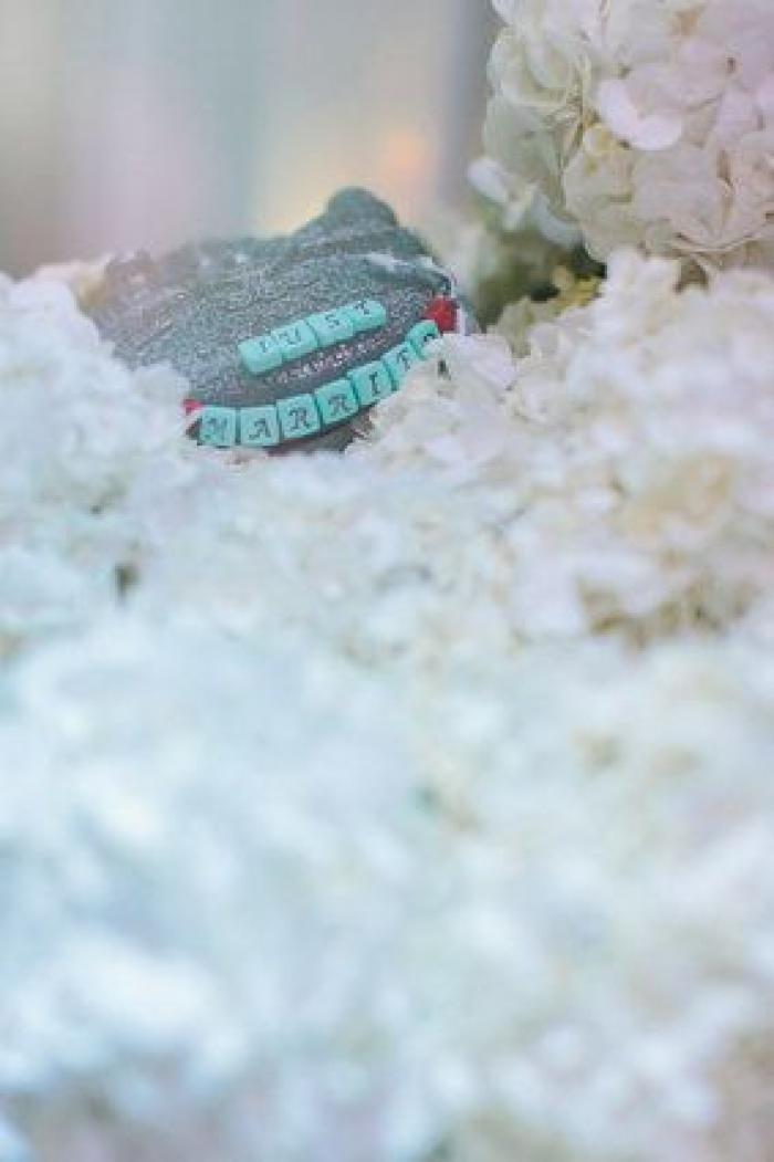 Nos colamos en una academia temática de 'Star Wars' de Sídney