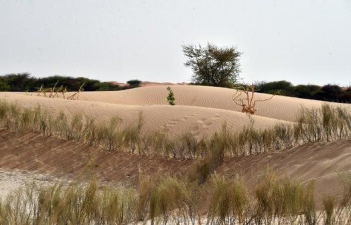 Níger, Nepal, las tribus peruanas... los olvidados de la Cumbre del Clima