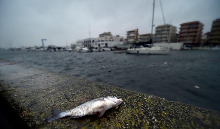 España, en aviso por la borrasca 'Karine' con riesgo extremo por olas en País Vasco, Asturias y Cantabria