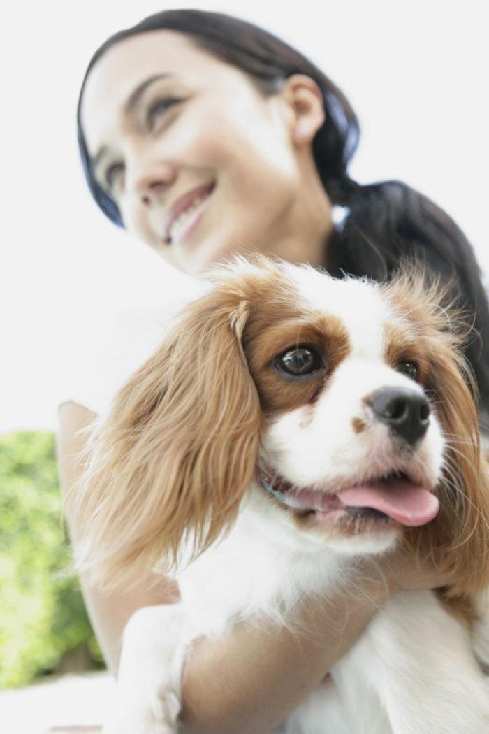 Qué es tener salud mental