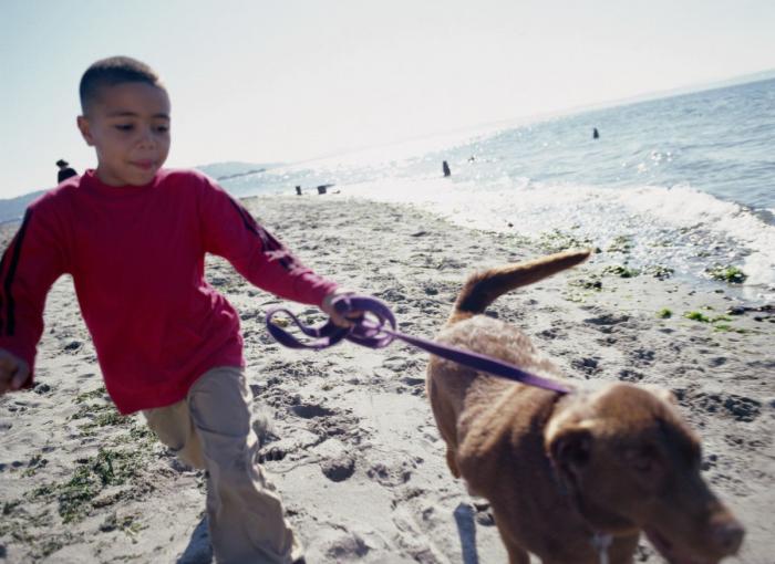 Qué es tener salud mental