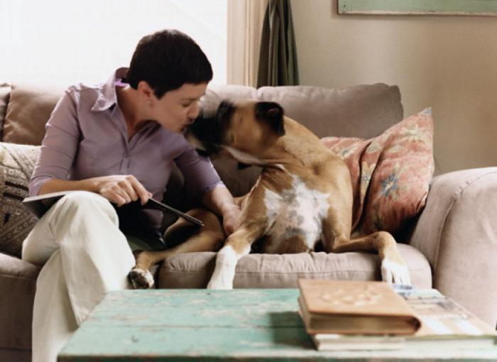 Qué es tener salud mental