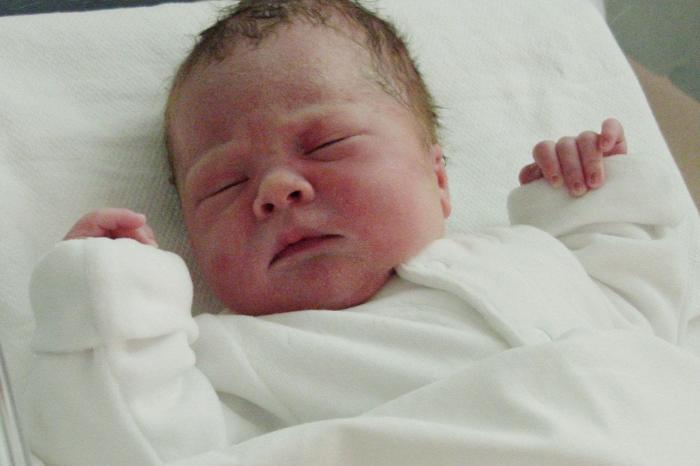 Detienen a una pareja en Cadaqués (Girona) por irse de copas y dejar a su bebé en casa