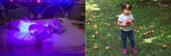 Estos peluches están cambiando la vida de los bebés prematuros