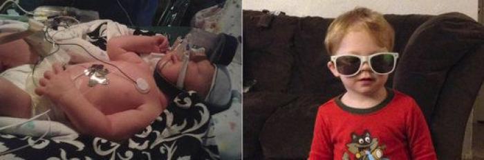 Estos peluches están cambiando la vida de los bebés prematuros