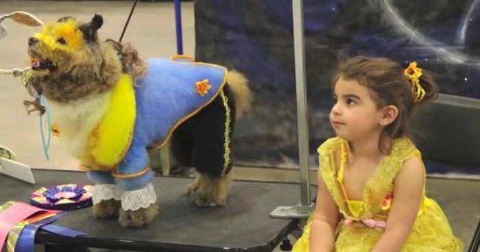 Los concursos de belleza canina más extremos (FOTOS, VÍDEO)