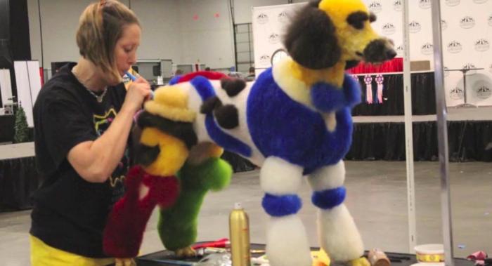 Los concursos de belleza canina más extremos (FOTOS, VÍDEO)