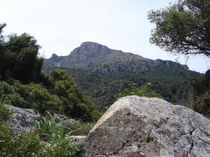 La Sierra de Tramontana, el patrimonio quemado por el fuego (FOTOS)