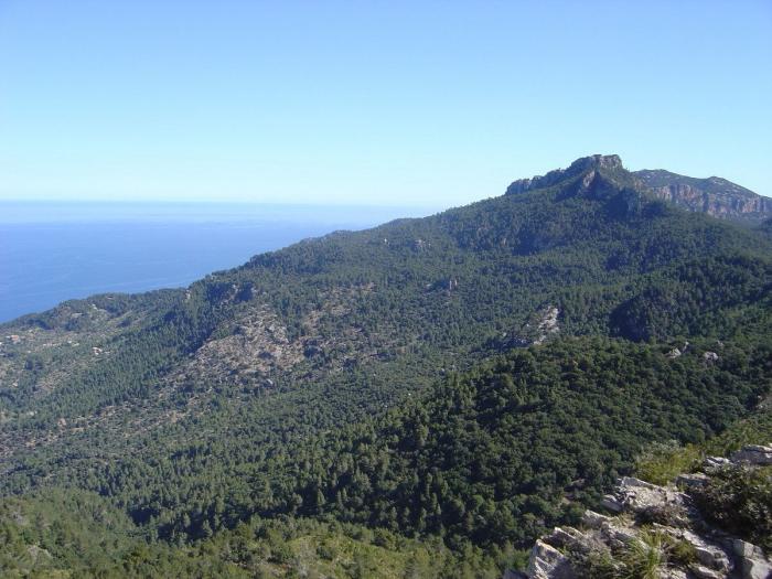 La Sierra de Tramontana, el patrimonio quemado por el fuego (FOTOS)