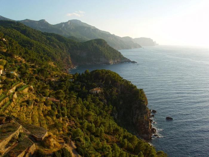 La Sierra de Tramontana, el patrimonio quemado por el fuego (FOTOS)