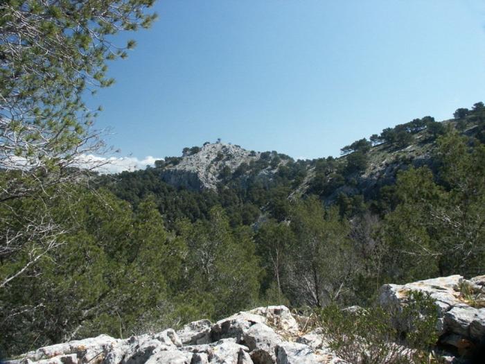 La Sierra de Tramontana, el patrimonio quemado por el fuego (FOTOS)