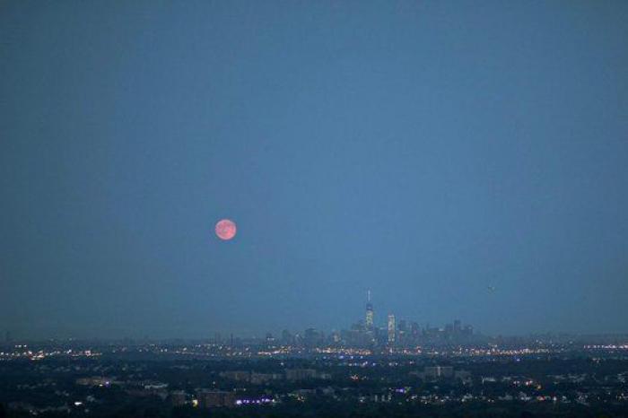 Cervantes ya tiene su estrella (y El Quijote, todo un sistema planetario)