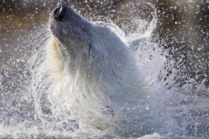 El peligro de las aguas abiertas y consejos para nadar seguro