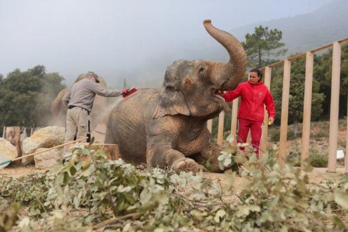Estefanía de Mónaco: "Dejen de llamarme la princesa rebelde. ¡Basta ya!"