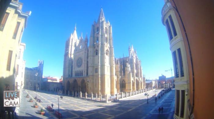 Los pasos que tienes que seguir al recibir un paquete en casa en plena crisis del coronavirus