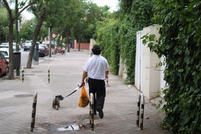 Así será Madrid Nuevo Norte: nuevo 'skyline', ejes verdes y 10.500 viviendas
