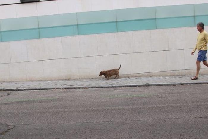 Así será Madrid Nuevo Norte: nuevo 'skyline', ejes verdes y 10.500 viviendas
