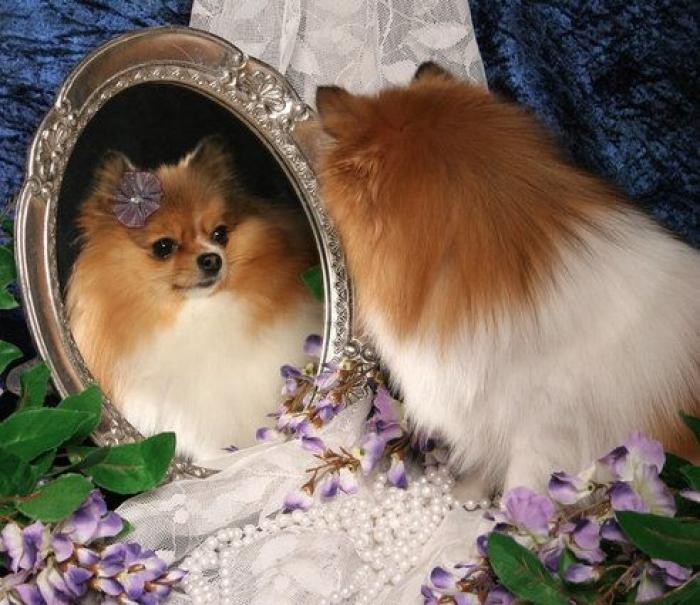 37 métodos para relajarte a través del arte