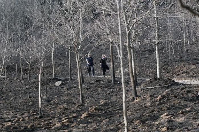 Aumenta el número de focos activos en los incendios de Asturias