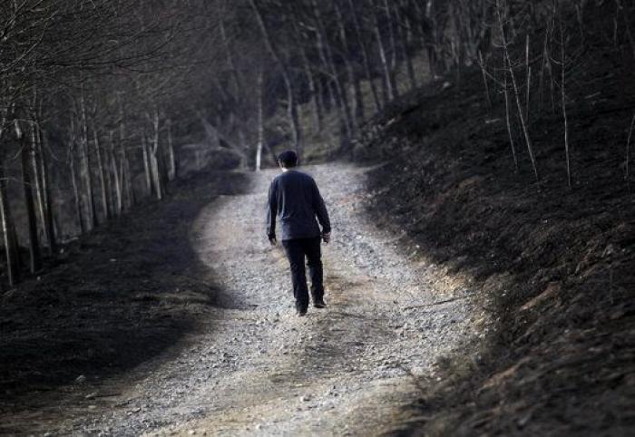 Aumenta el número de focos activos en los incendios de Asturias